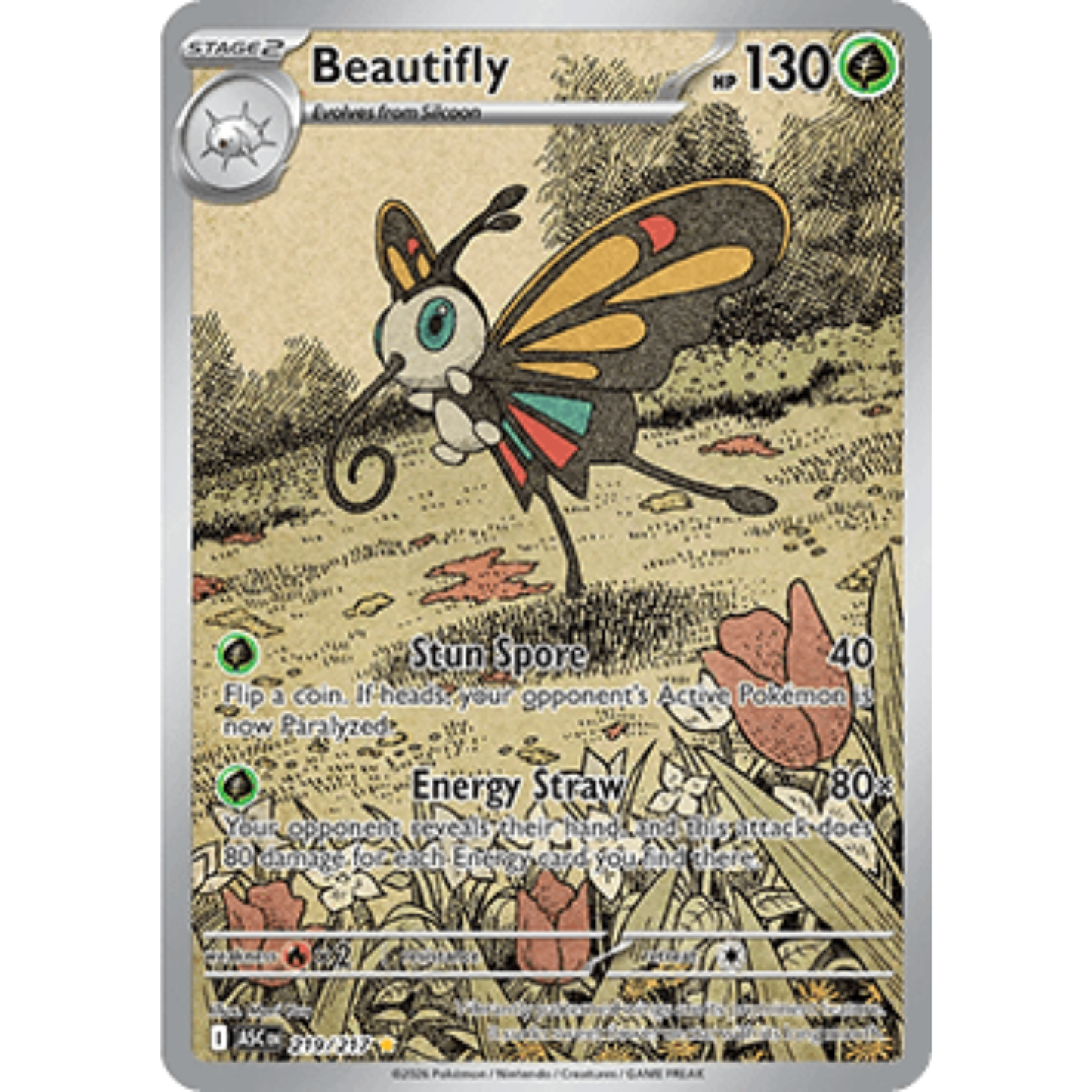 ASC 219 - Beautifly
