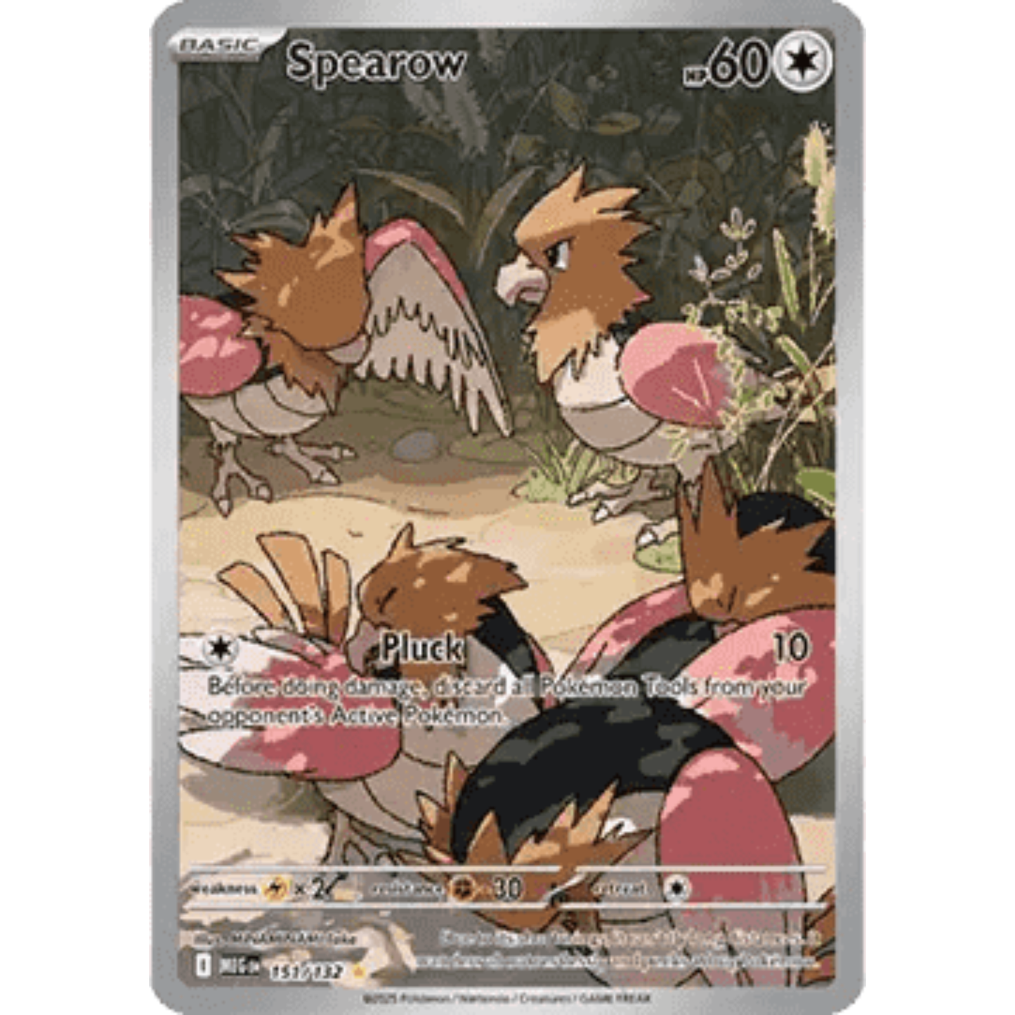 MEG 151 - Spearow