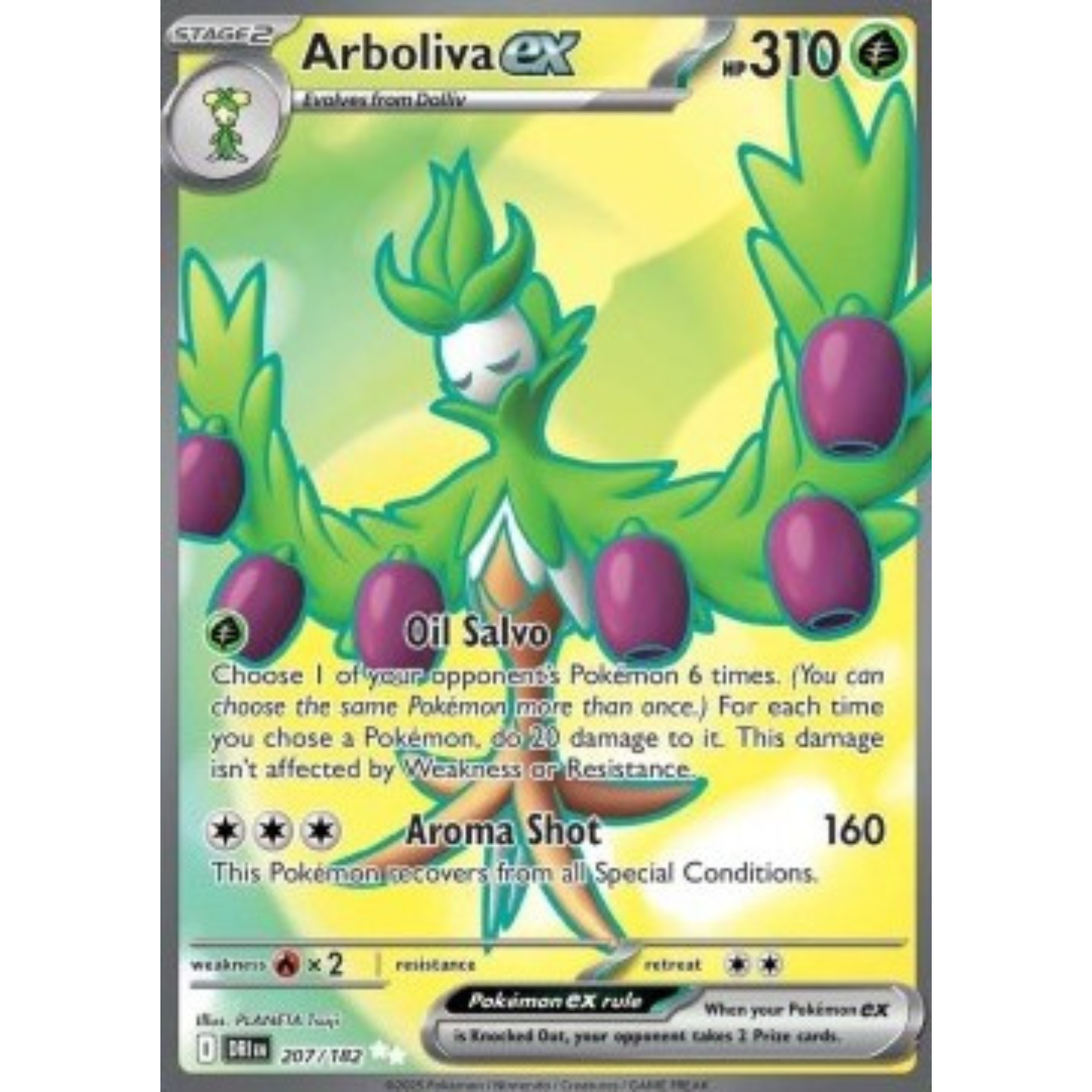 DRI 207 - Arboliva ex