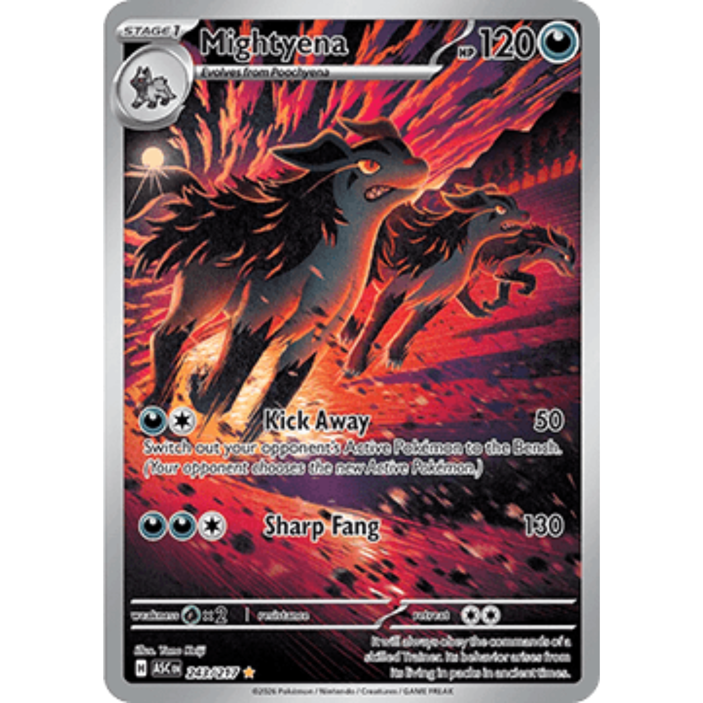 ASC 243 - Mightyena