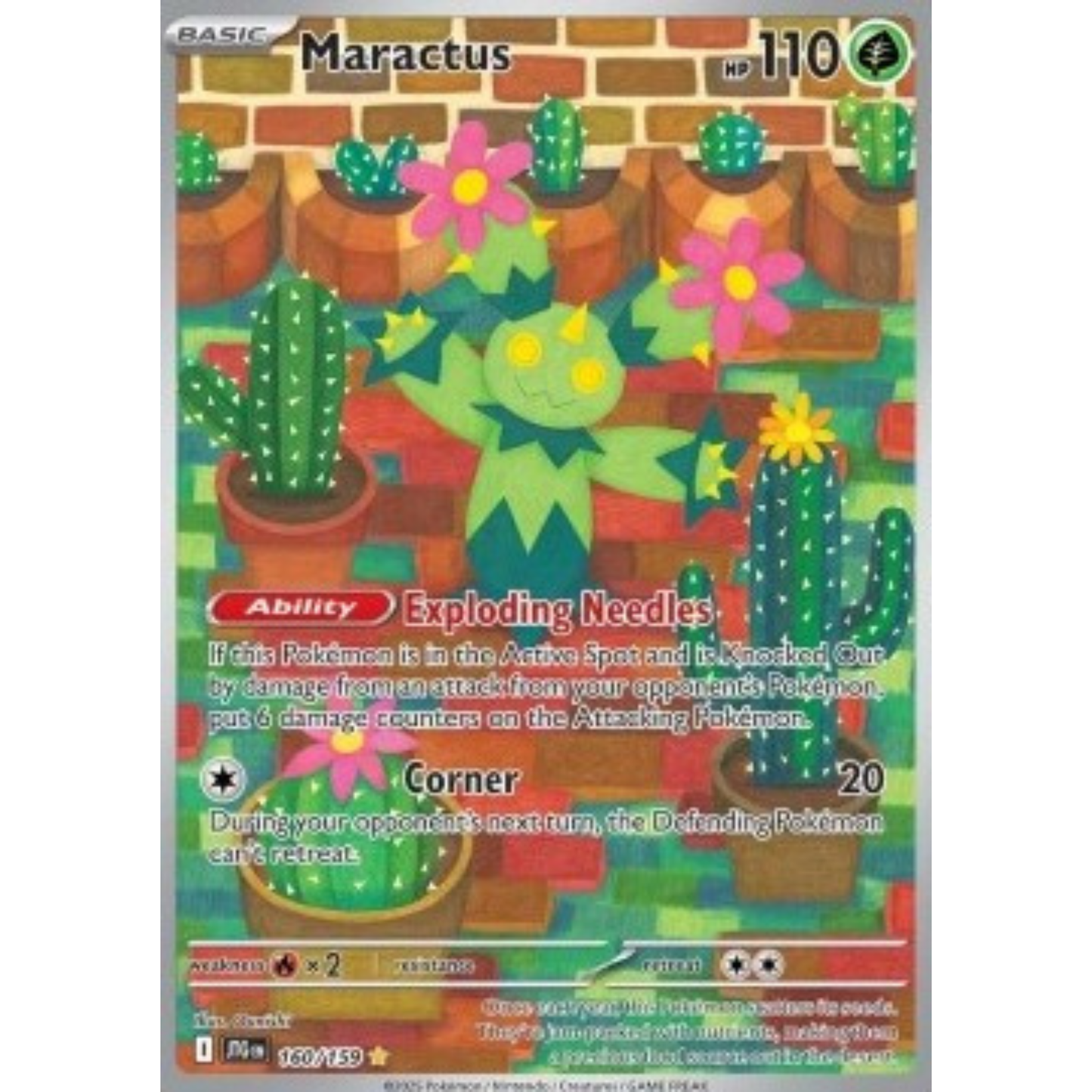 JTG 160 - Maractus
