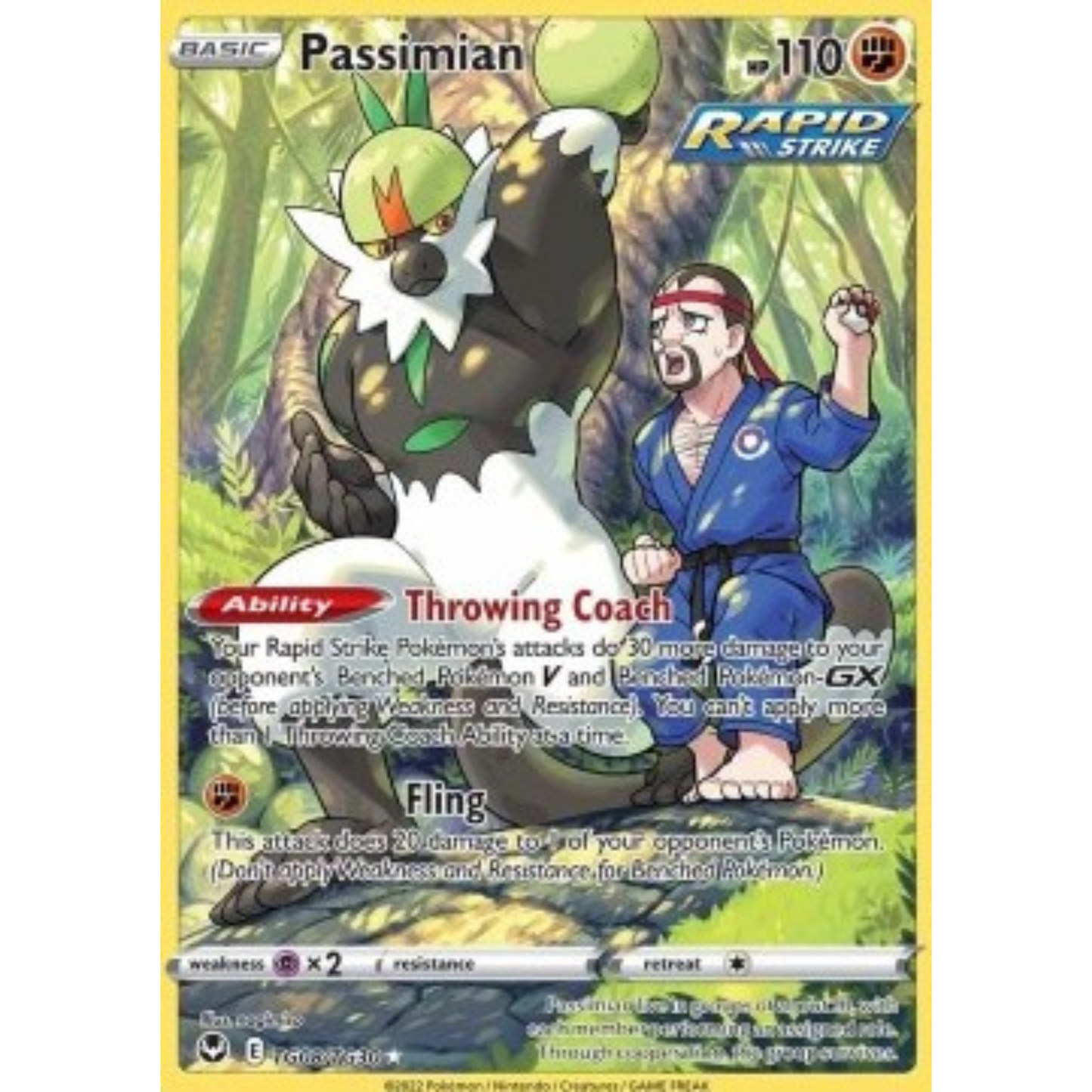 SIT TG08 - Passimian