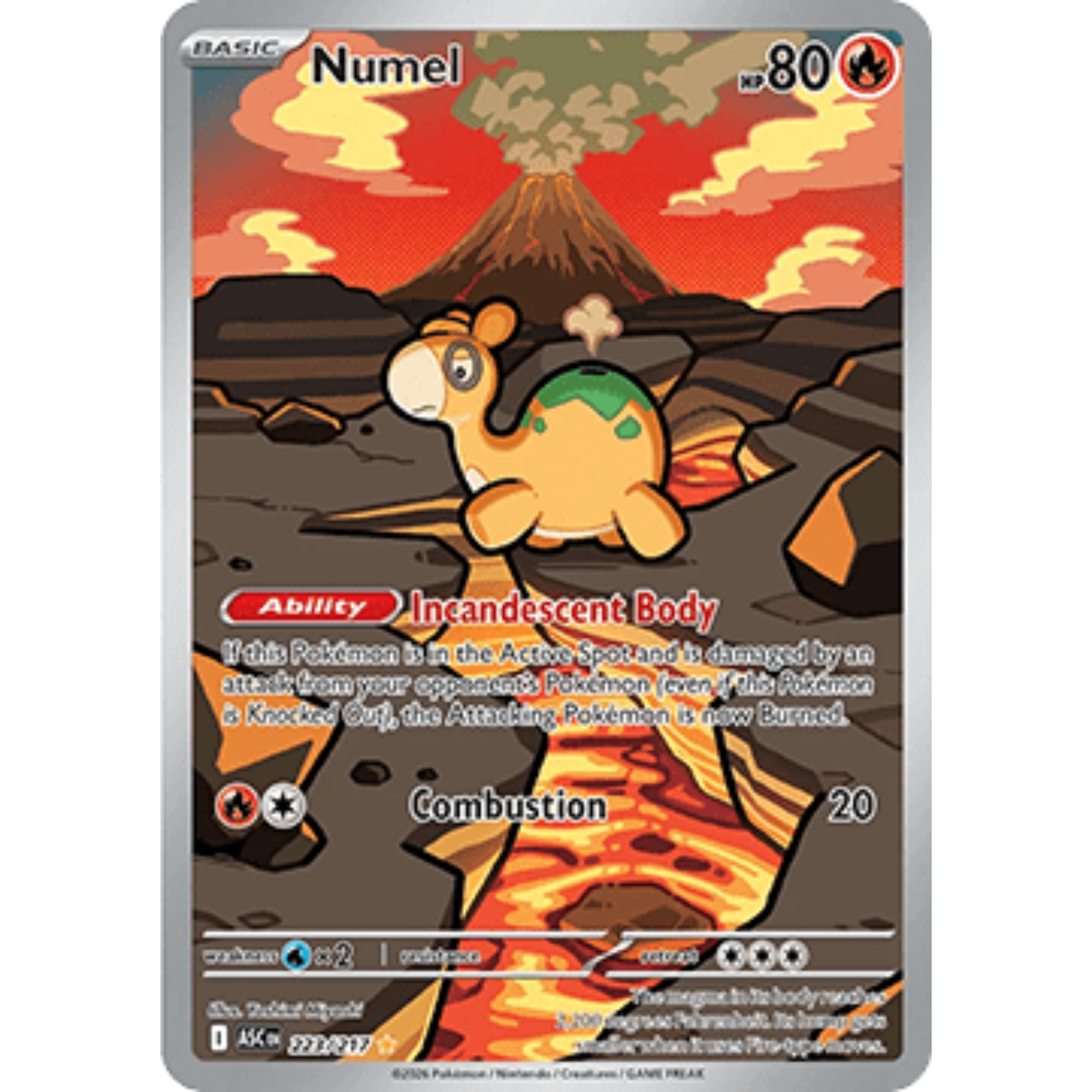 ASC 223 - Numel