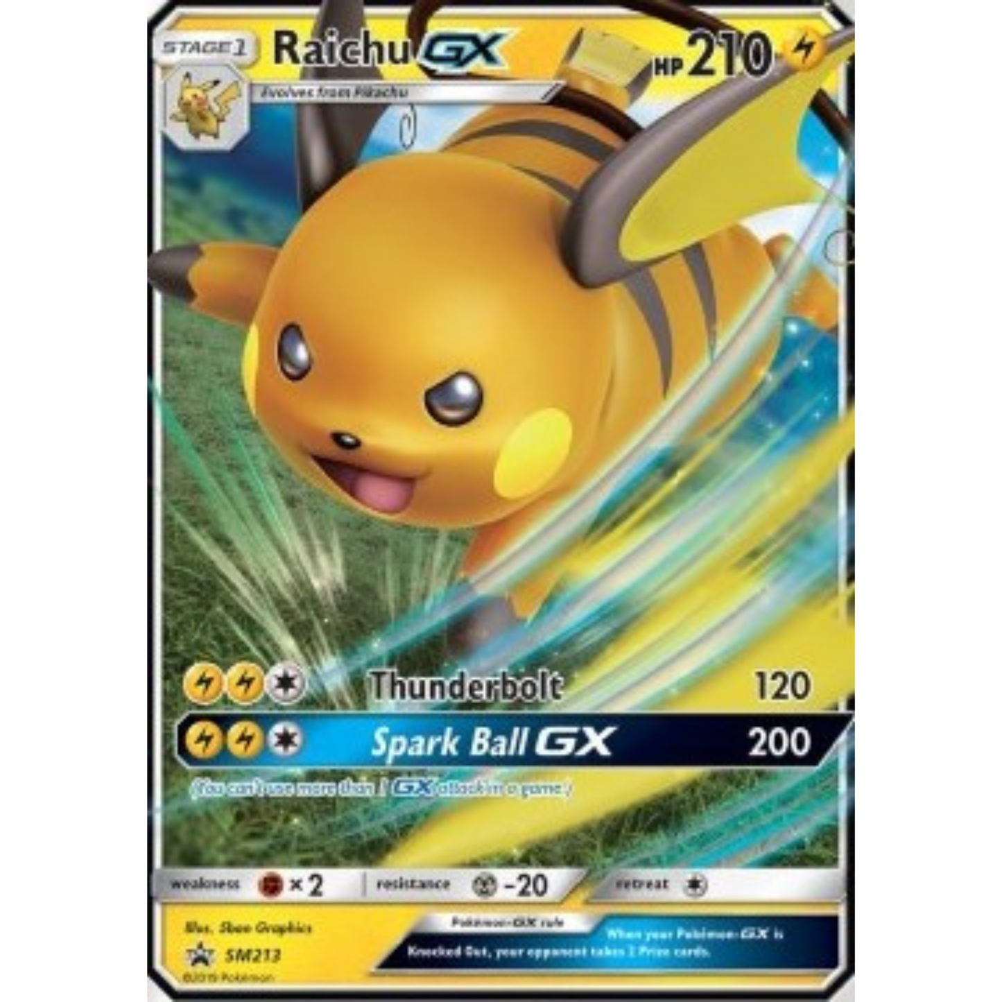 SM 213 - Raichu