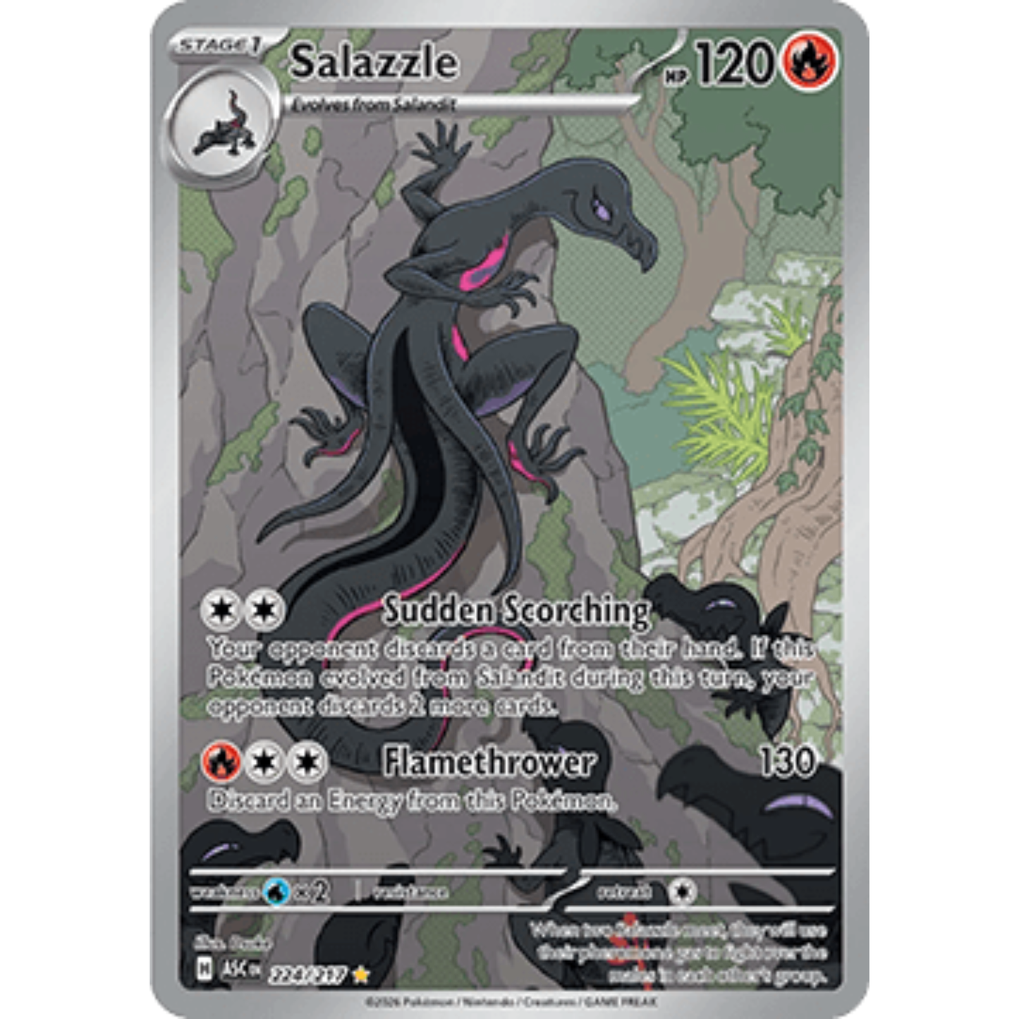 ASC 224 - Salazzle