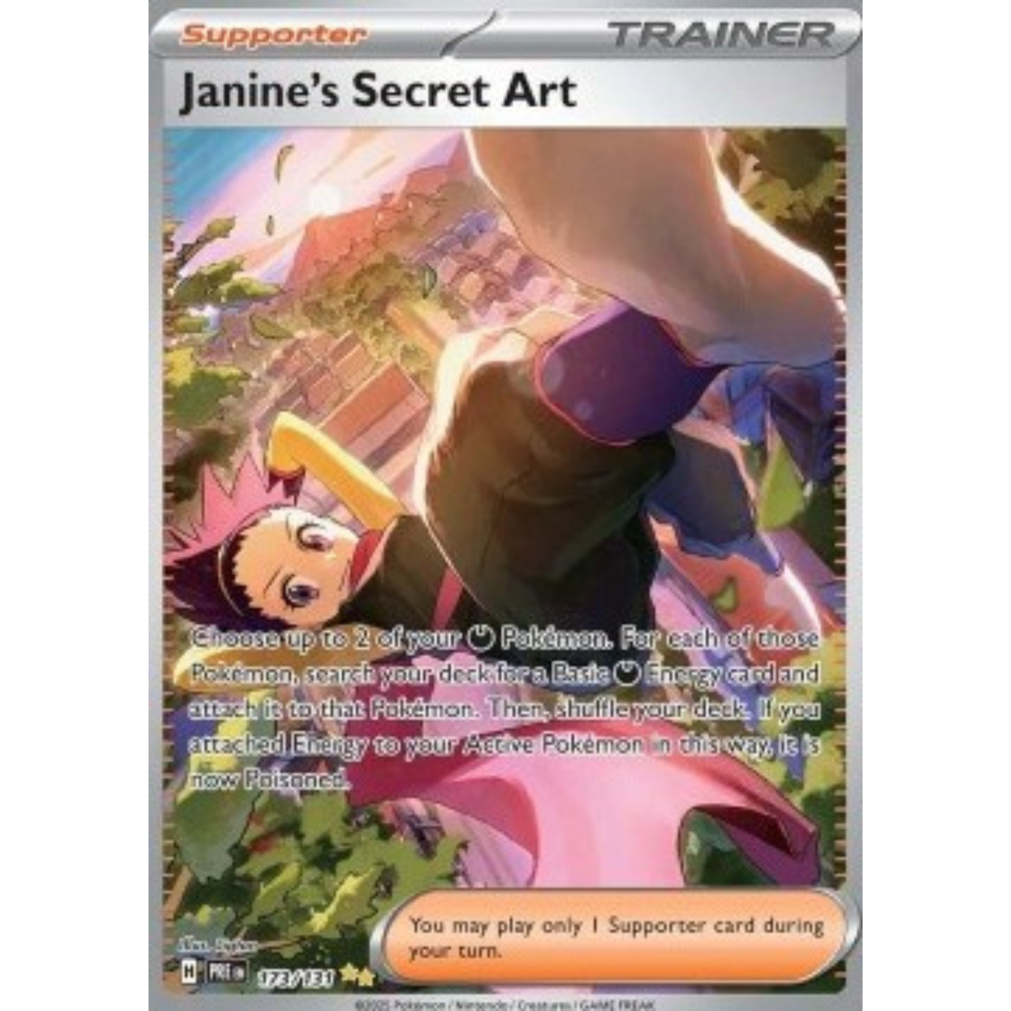 PRE 173 - Janine's Secret Art