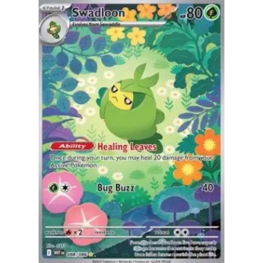 WHT 088 - Swadloon